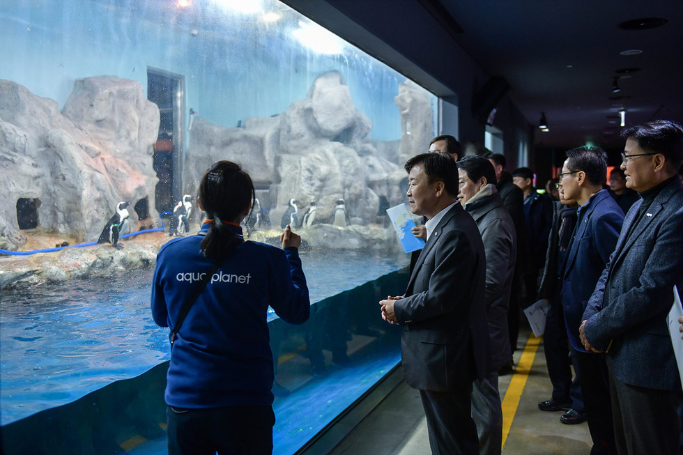 정기명 여수시장, 아쿠아플라넷 방문 현장 간부회의를 하 는 사진