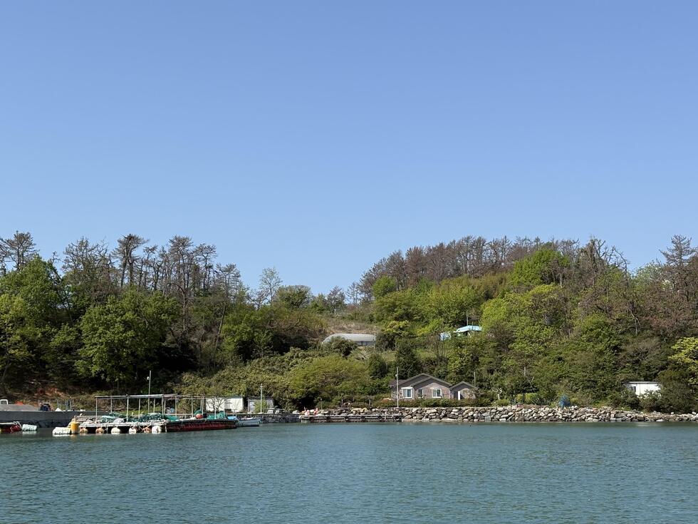 푸른 하늘 아래 작은 항구와 주변의 나무들이 보이는 풍경이다. 항구에는 여러 개의 배가 정박해 있다.