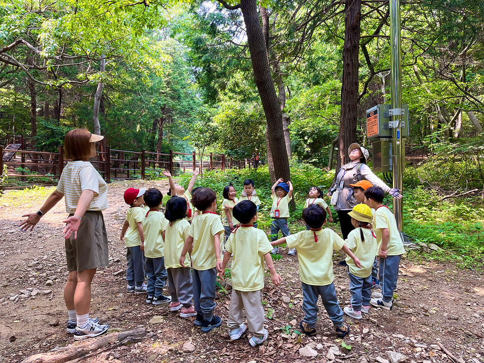 숲속에서 어린이들이 선생님을 따라 손을 들고 있는 모습이다. 어린이들은 노란색 티셔츠를 입고 있으며, 선생님은 모자를 쓰고 있다.