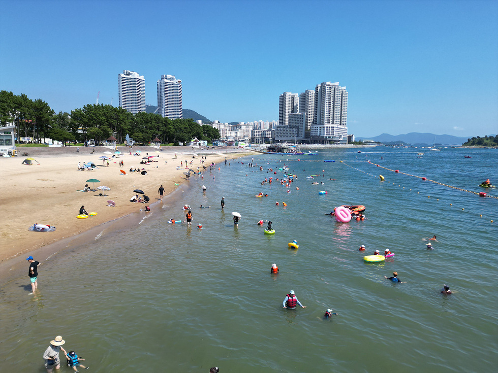 해변에서 사람들이 수영하고 놀고 있는 모습이다. 배경에는 고층 건물과 나무가 보인다.