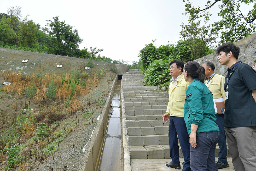 한 남성이 계단을 오르며 주변을 살펴보고 있고, 다른 세 명의 사람들이 그를 바라보며 대화하고 있는 장면이다. 배경에는 식물이 자생하고 있는 경사진 땅이 보인다.