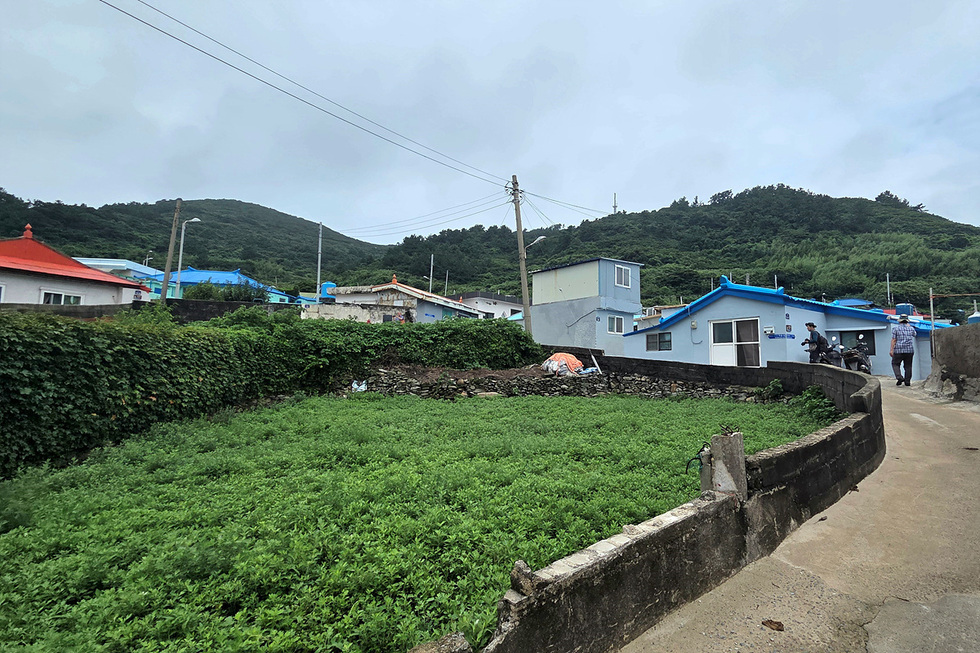 푸른색 지붕의 집들이 있는 마을 풍경으로, 앞쪽에는 초록색 식물이 자생하고 있으며, 한 남성이 도로를 걷고 있다.