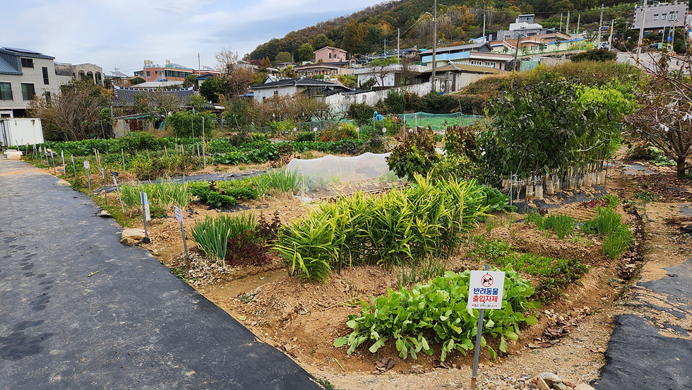 5-1 여수시, 2026년 도시민 친환경 가족텃밭 참가자 모집.jpg