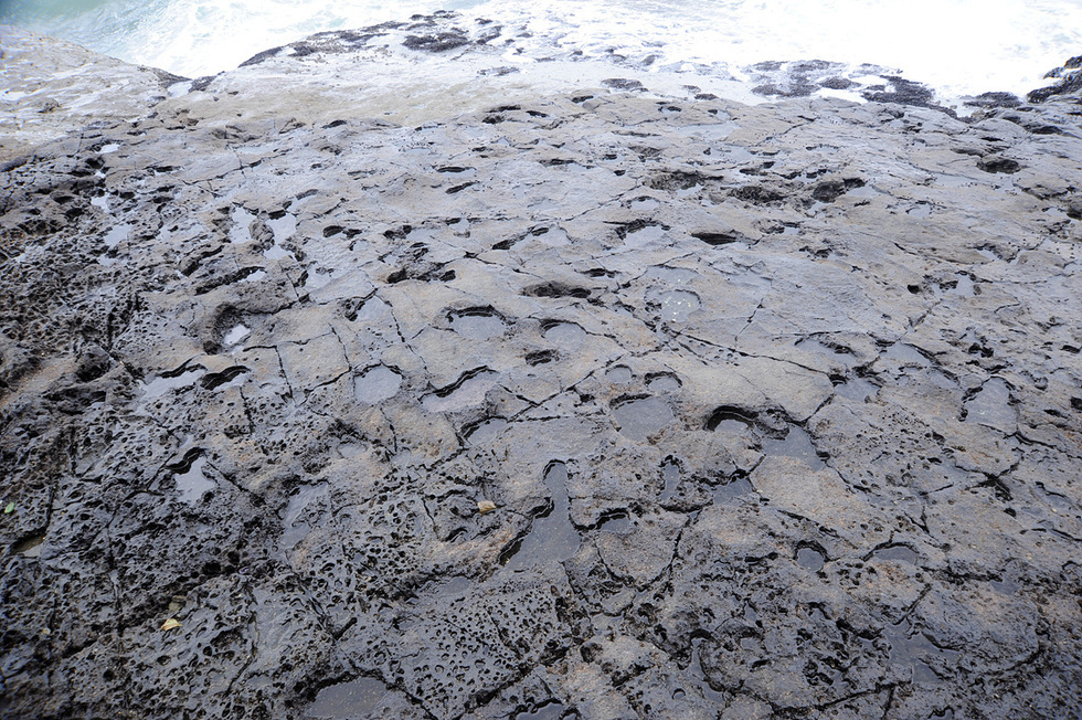 3-2 여수 낭도, 유엔관광청 ‘최우수 관광마을’ 1차 통과… 세계 무대 재도전.jpg