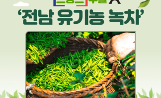 '전남 유기농 녹차' 프랑스 수출 이어져