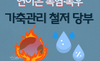 연이은 폭염.폭우 가축관리 철저 당부 