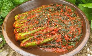 항아리 뚜껑담겨져있는 똑쏘는 갓김치 사진