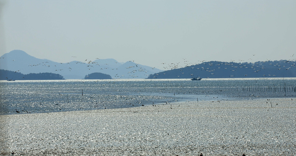 1-3_Yeosu Tidal Flats in Yeoja Bay Officially Added to Expanded UNESCO World Heritage Listing.jpg